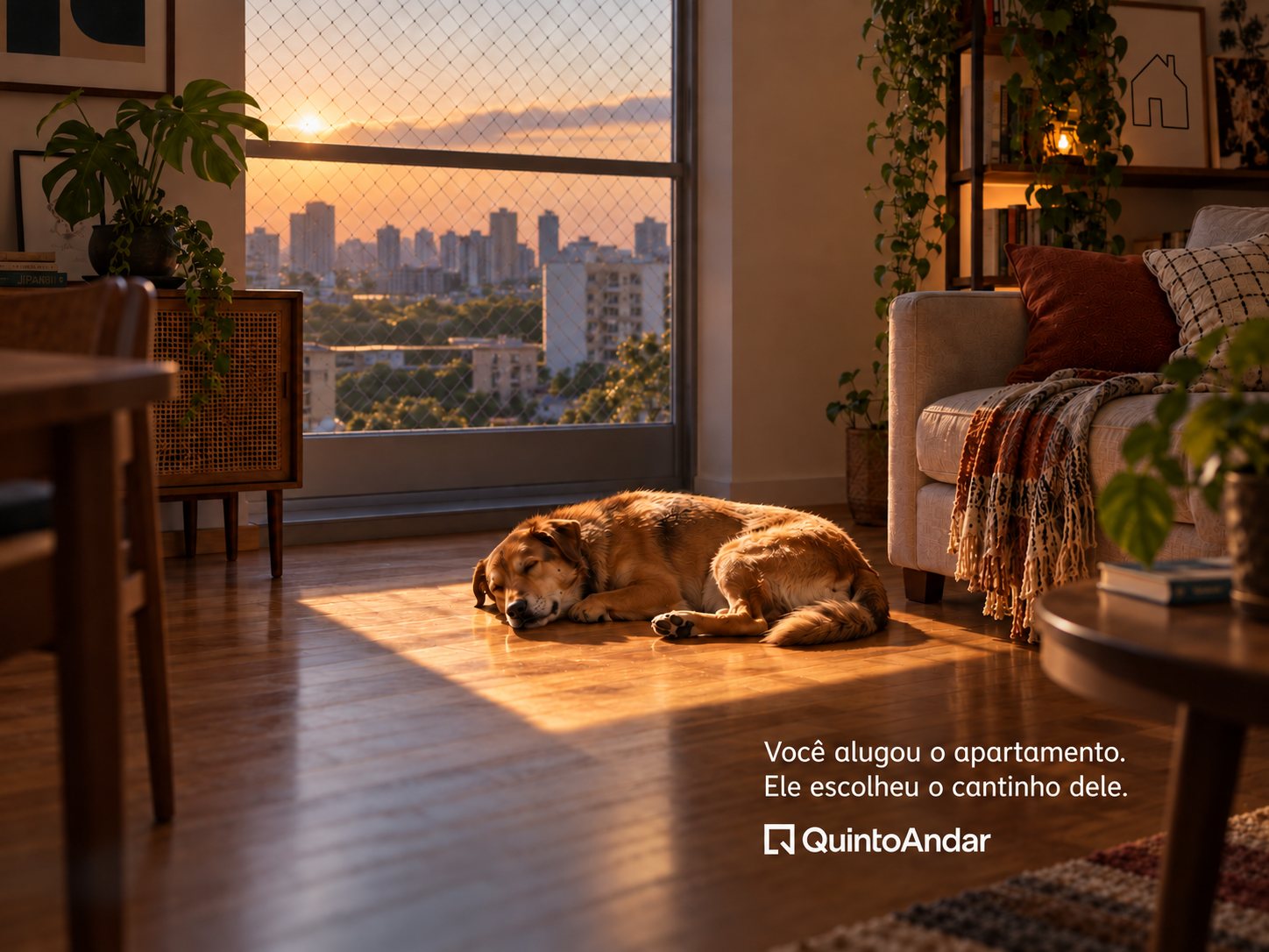 Quinto Andar: cachorro descansando na sala ao pôr do sol. Você alugou o apartamento. Ele escolheu o cantinho dele.