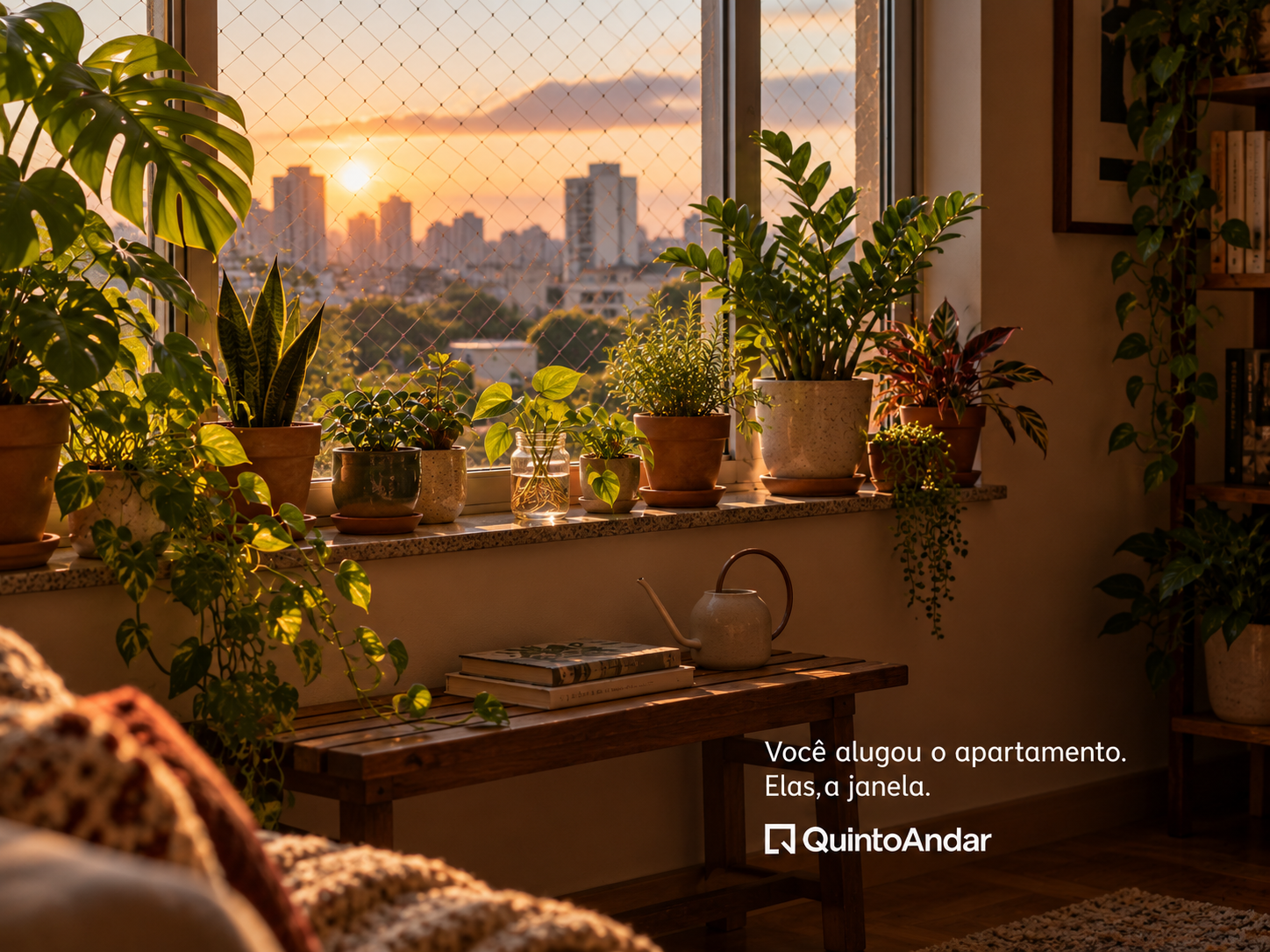 Plantas na janela iluminada pelo pôr do sol. Você alugou o apartamento. Elas, a janela.
